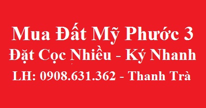 mua lo i45 my phuoc 3